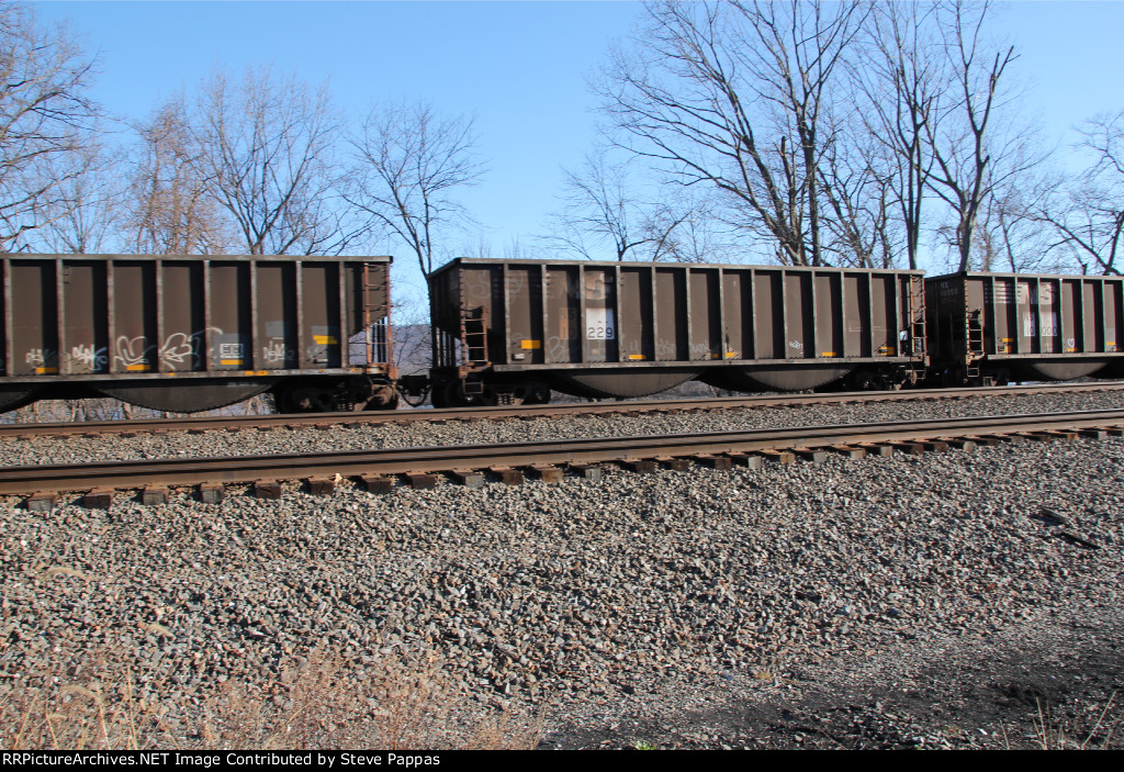 NS 10229